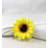 Fabric Napkin Ring