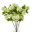 Anastasija Arrangement-572859231-572859230