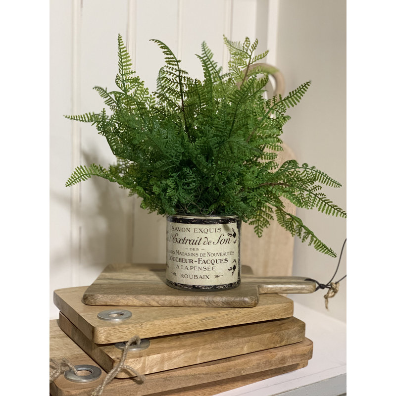 Fausse fougère dans un vase en verre