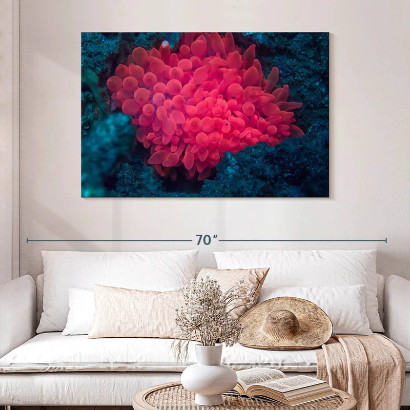 Rose corail, H 32 po x l 48 po