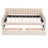 Lohrman Upholstered Daybed,Platform Bed with Drawers-2146656743-2093193902