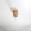 Ariz Flush Mount-1473590497