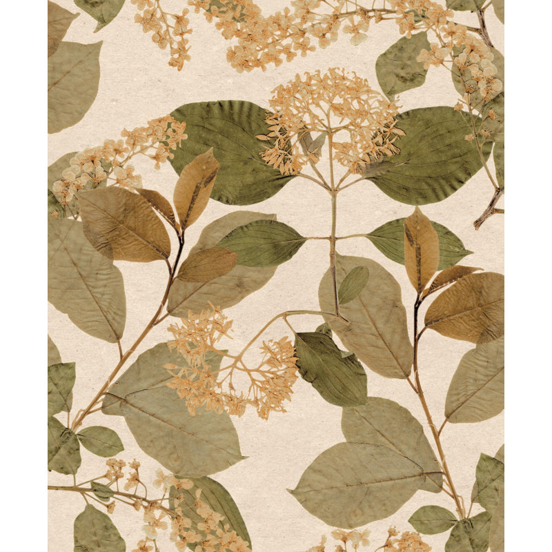 Rouleau de papier peint feuilles tropicales abricot 33 pi x 21 po Nayala, Orange abricot