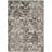 Troisi Performance Oriental Rug-18968495