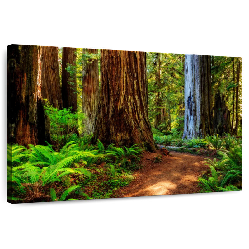 Harnek Sequoia Park Trail, 32" H x 48" W