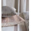 Aster Sham-36820122