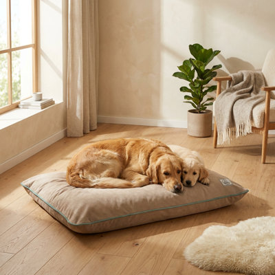 Lit pour chien CalmNest