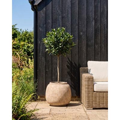 Plant Pot ITAMOS 42 cm Beige