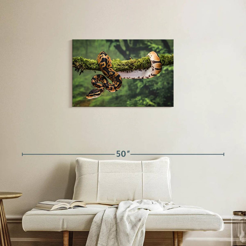Python On Branch, 20" H x 30" W