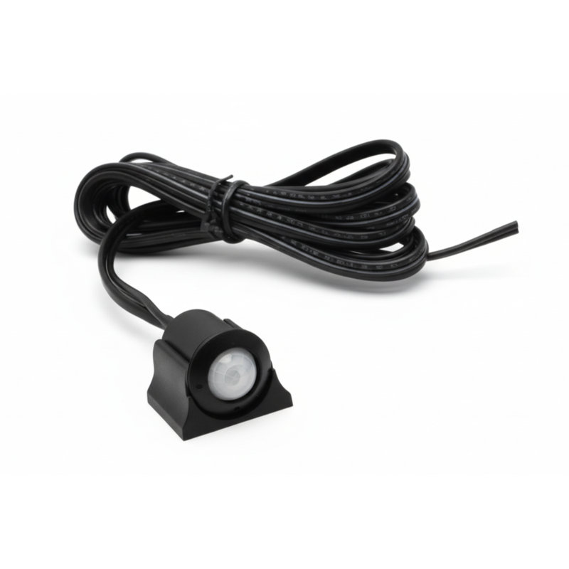 Body Motion Sensor