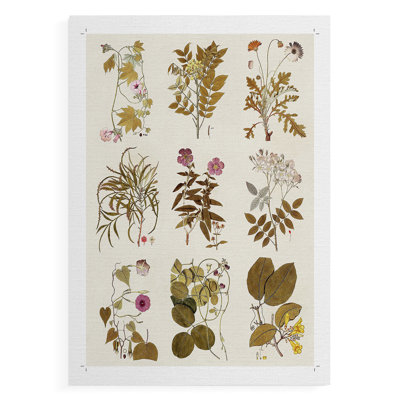 Antique Floral Grid II - Impression sur toile seulement - NON CADRE