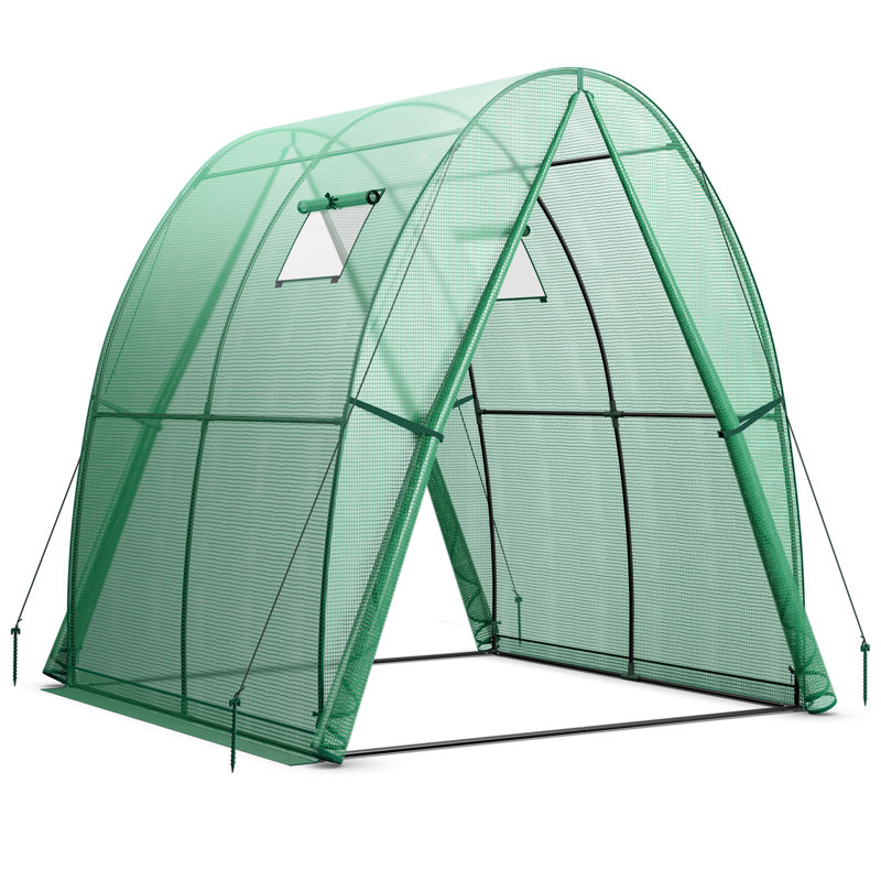 Bryndon 6 Ft W x 6 Ft D Greenhouse, Green