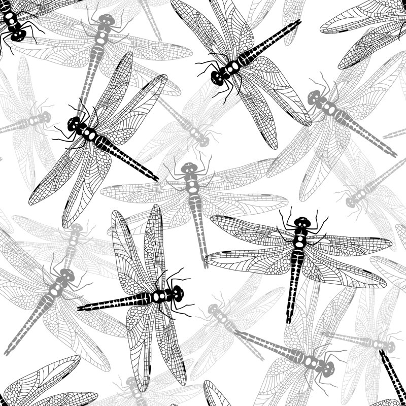 Parksdale Black And White Dragonfly - Wrapped Canvas Print, 51cm H x 51cm W x 3.8cm D