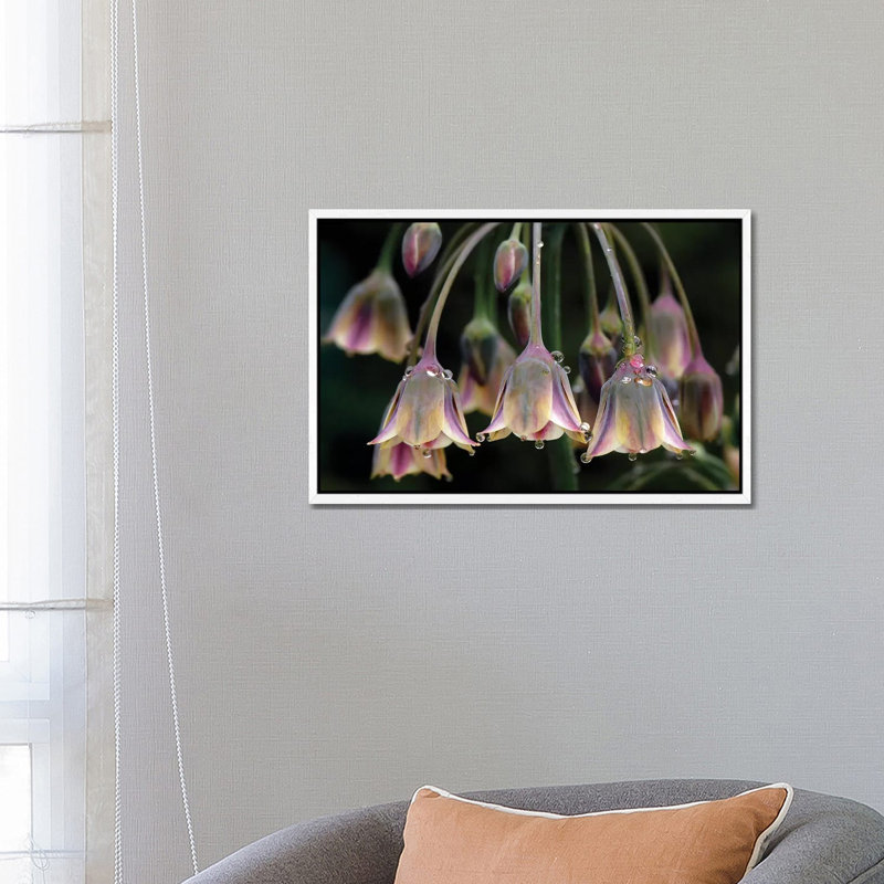 Dew Bells 1 Piece Wall Art on Canvas, 66.04 cm H x 45.72 cm W, White Floater Frame