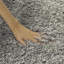 Saltash Solid Colour Area Rug-14295495