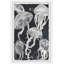 «Jellyfish III», reproduction encadrée-859323848