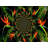 Leonard Askowitz " Bird of Paradise " Acrylic Print