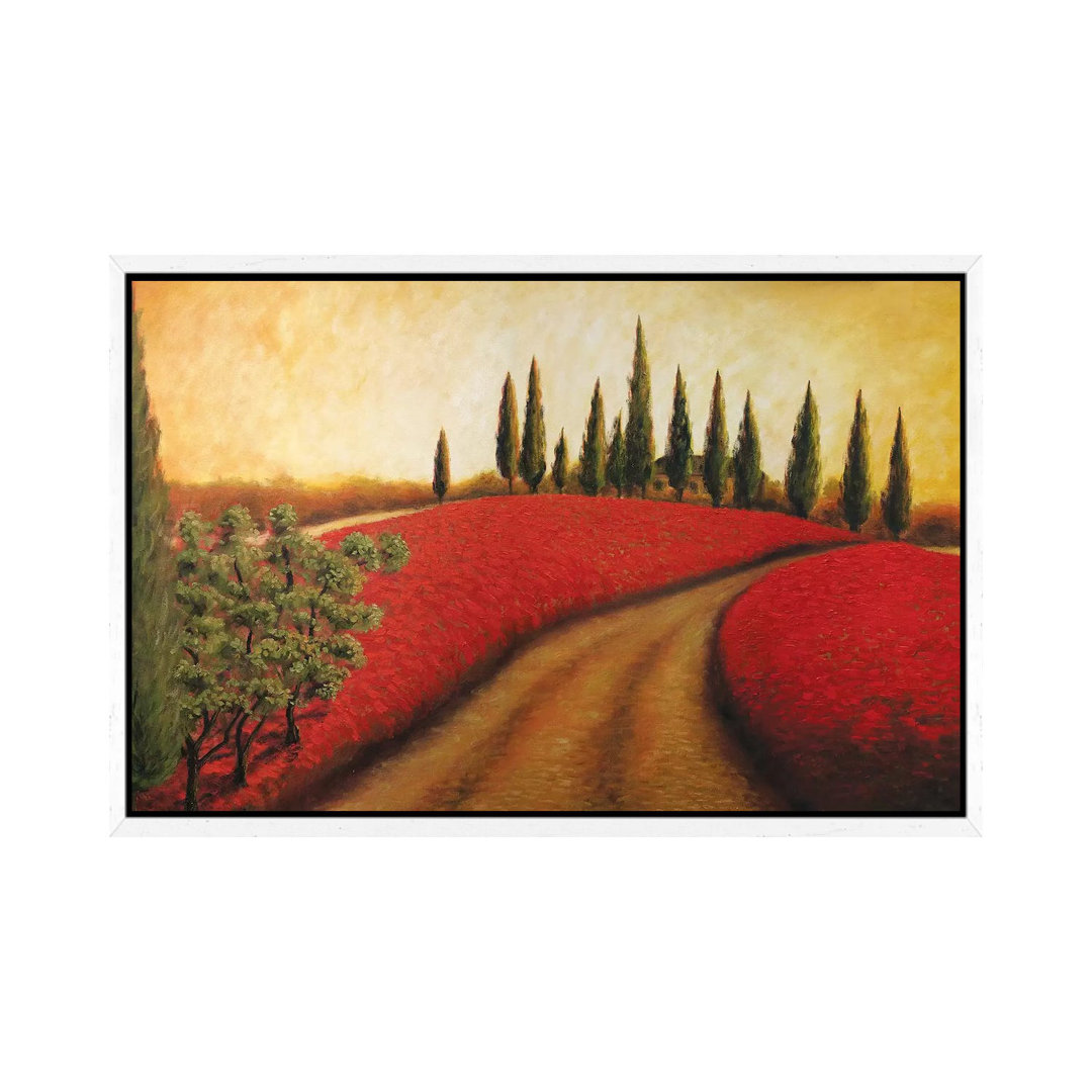 Tuscan Path I von Malenda Trick - Galerie-verpackte Leinwand Giclée auf Leinwand