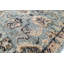 Oriental Area Rug in Blue