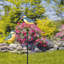 Piquet de jardin Shanin