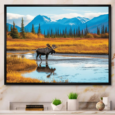Orignal dans un paysage de l'Alaska II