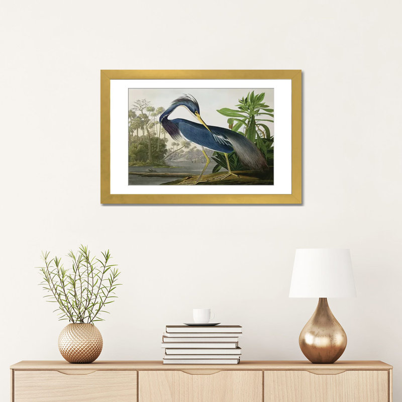 Louisiana Heron, reproduction d'art encadrée sur papier par John James Audubon, Encadrement doré, H 16 po x l 24 po x P 1 po