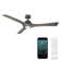 Woody 3 - Blade Outdoor/Indoor Smart Propeller Ceiling Fan with LED Light Kit and Remote Control Included, Works With Alexa and iOS or Android App