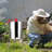 Beekeeping Honey Production Tool