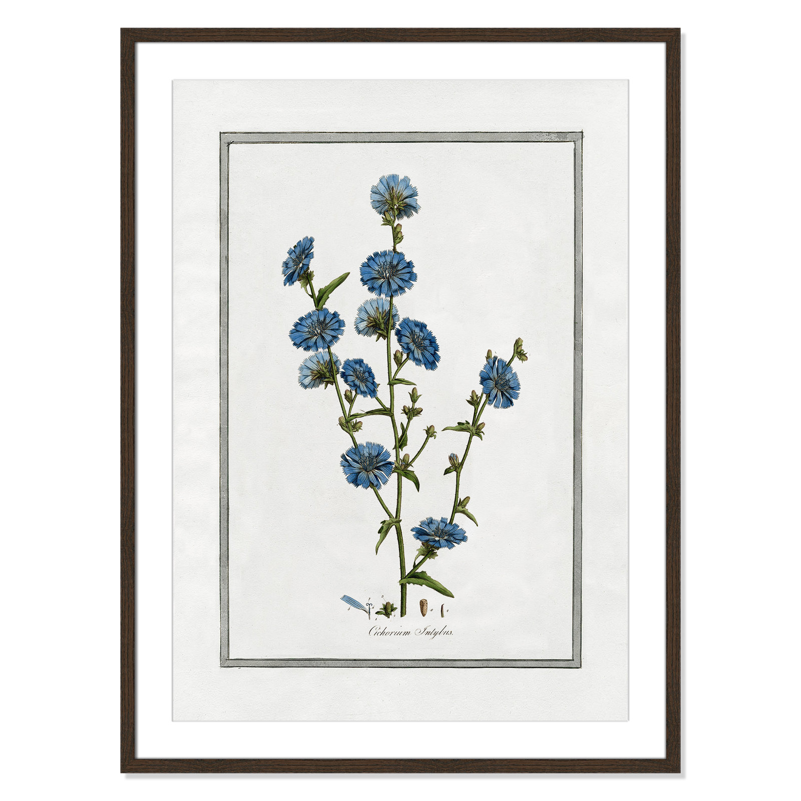 Colombe "Soft Botanical I" Print, 25.5" W x 35.5" H, Walnut Framed