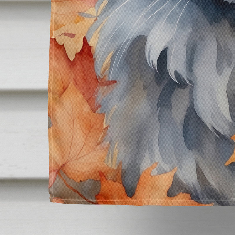 Chat en feuilles d'automne, Nebelung