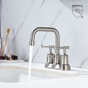 Brushed Nickel