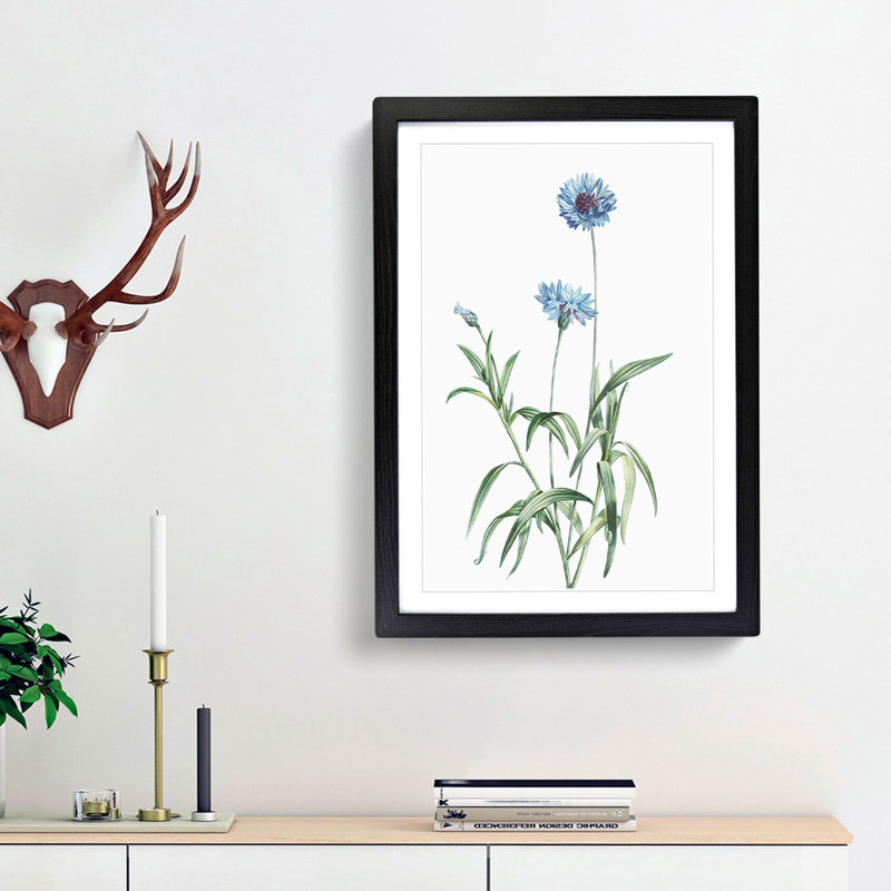 Cornflowers in Blue by Pierre-Joseph Redoute - Picture Frame Painting Print, 65cm H x 48cm W x 2cm D, Black Framed