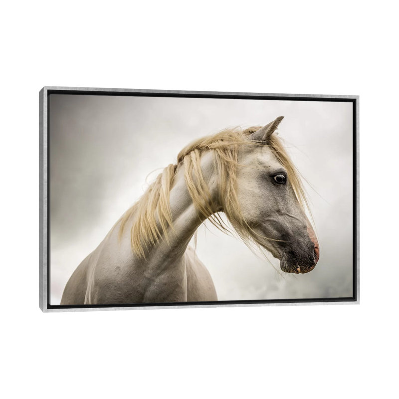 Cheval blanc par Mark Gemmell-reproduction de photo, Pas de tapis, Toile avec cadre argenté, H 40 po x l 60 po x 1,5 po