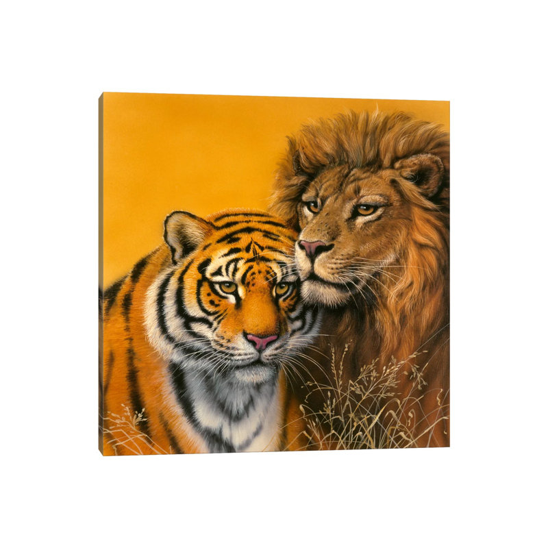 Lion And Tiger by Harro Maass - Wrapped Canvas Painting, 30.48 cm H x 30.48 cm W