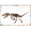 Savage Dino - peinture sur toile tendue-663356518
