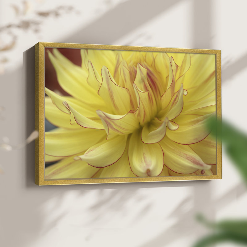 Blooms I -Framed Print - Restickable