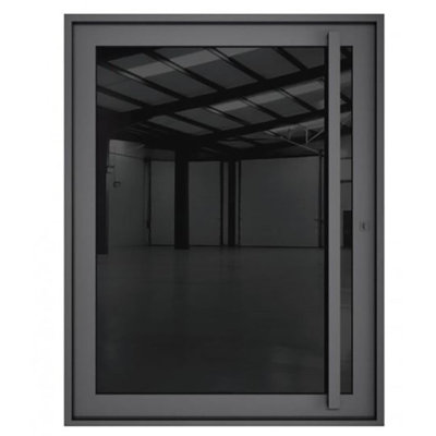 Black Opal Pivot Door 