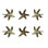Paquet de boutons de fantaisie 1,57 "Starfish