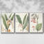 «Soft Tropical I», ensemble de 3 toiles encadrées-97706527-97706528
