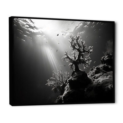 " Black And White Coral Artistic Ocean Ballet "