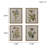Botanical Canvas Quadriptych