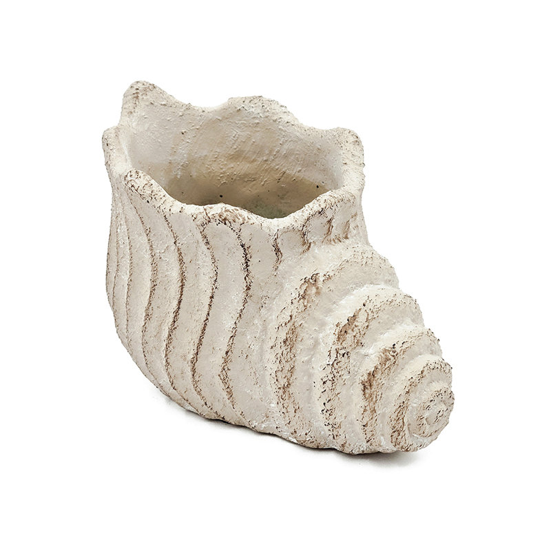 9X5.5X5.7" Sand And Cement Conch Shell Planter With Textured Beige Finish, 5.7" H x 9" W x 5.5" D