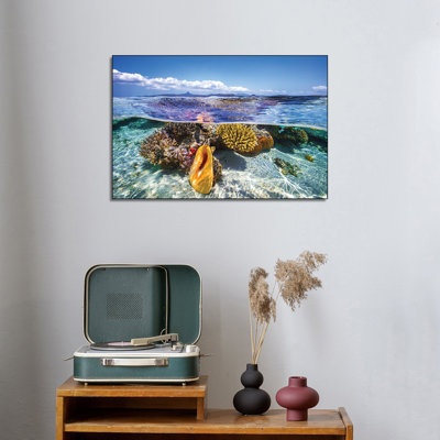 Impression sur toile, "Steppeix", "Lagoon Life" par Barathieu Gabriel