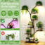Plant Stand 8 Tier