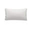 Qi Pillow-641305604-644778047