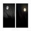 Ivoire, isolement au clair de lune - ensemble d'art mural sur toile lune-102584353-102584356
