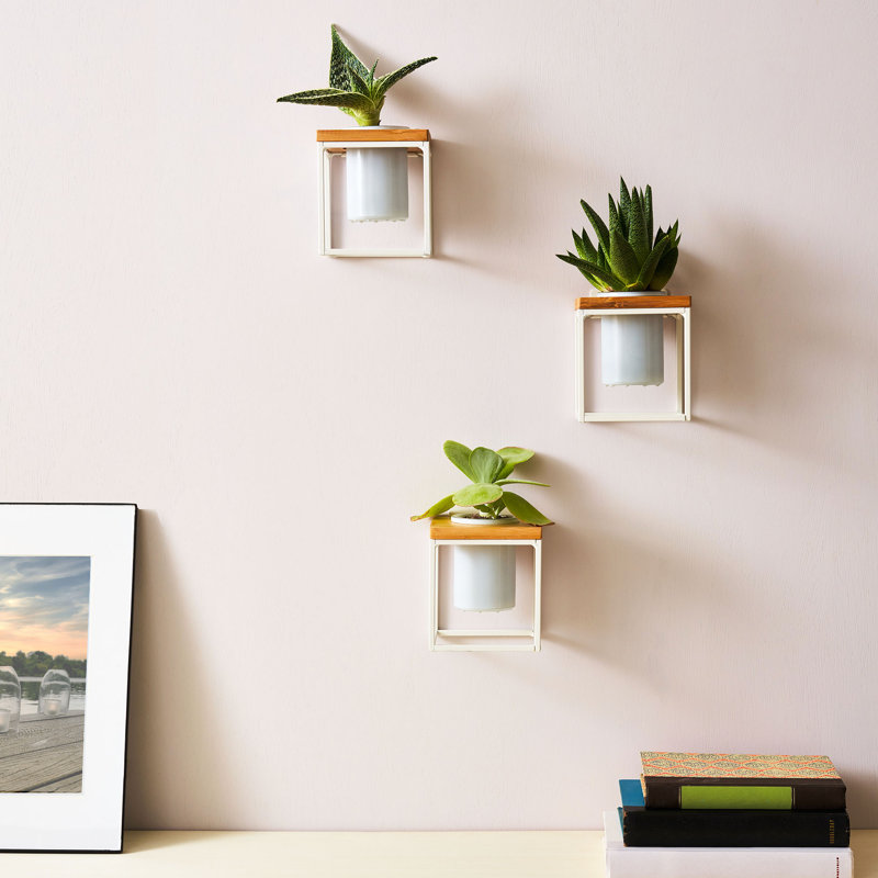 5'' H Wall Wall Sconce, White