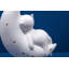 Gansett Porcelain Novelty Lamp