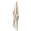 Spell Casting In Progress Wooden Star Plaque-165007756