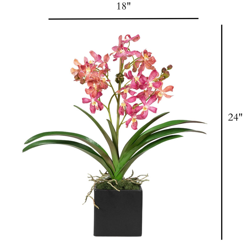Faux Orchid Plant In White Vase, Black, Pink